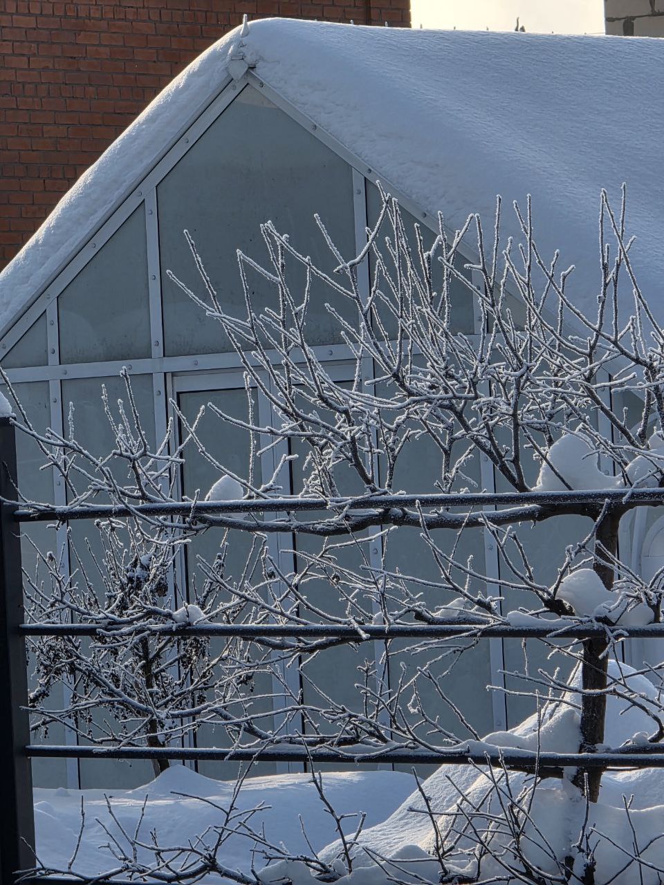 photo_2026-01-25_15-37-38