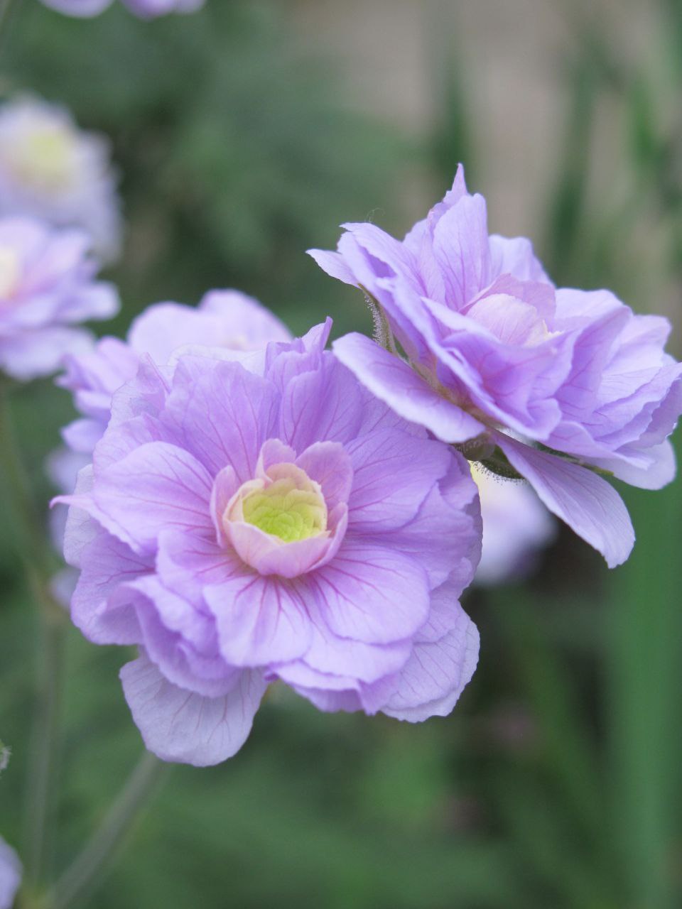 photo_2025-06-15_20-53-18
