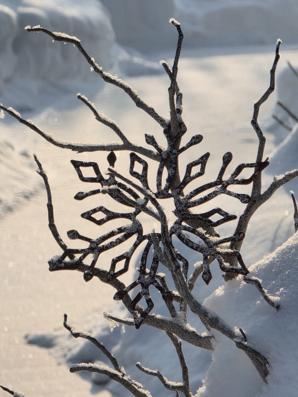 photo_2026-01-25_15-38-10