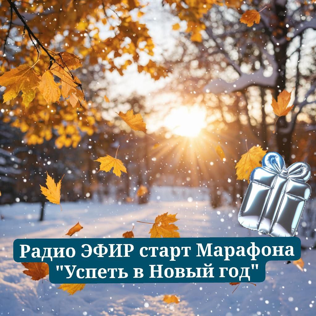 РАДИО ЭФИР с Генриэттой Панферовой старт марафона "Успеть в Новый год"