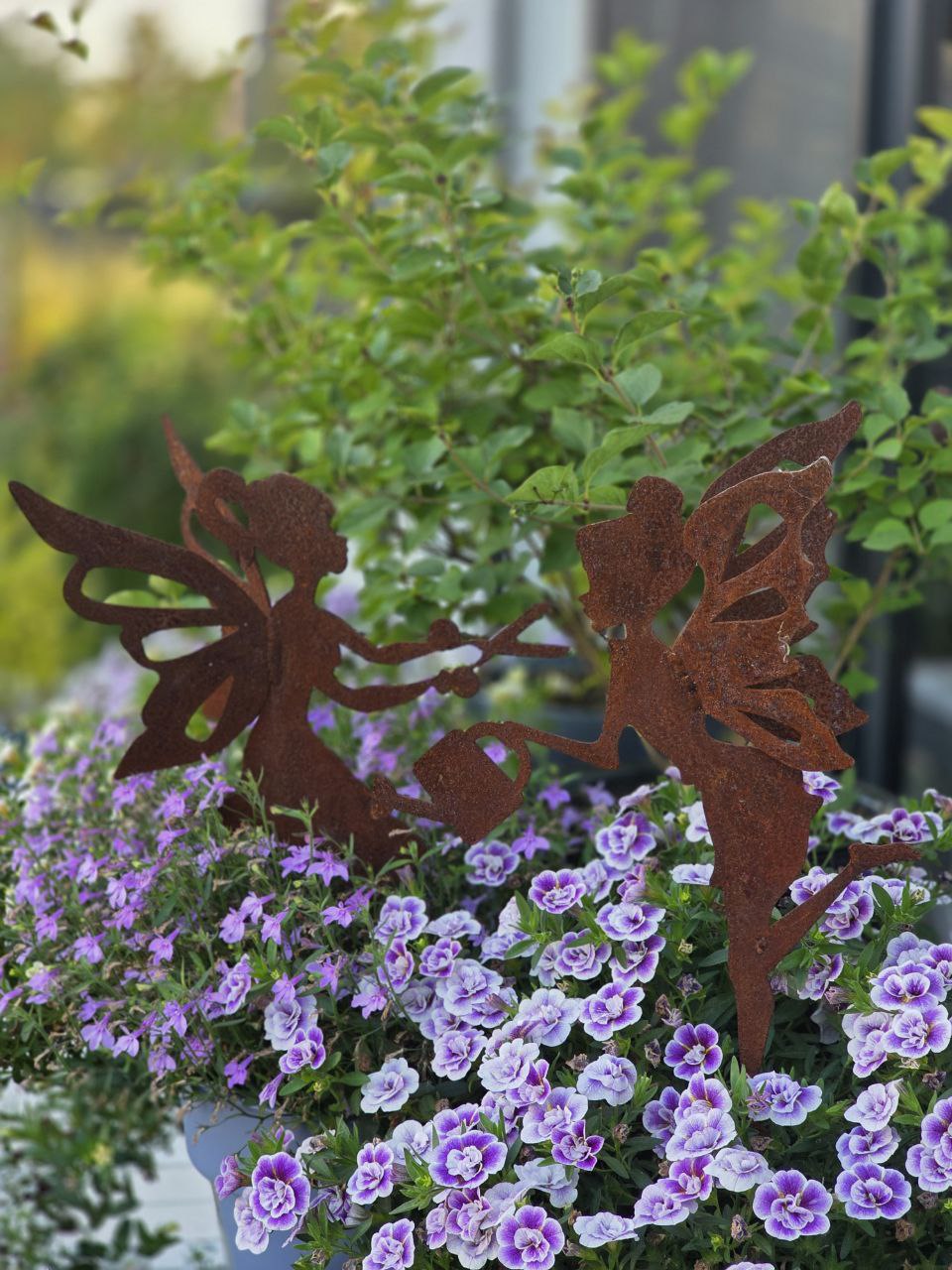 РАДИО ЭФИР с Оксаной Пискарёвой. Итоги садового сезона - 2025